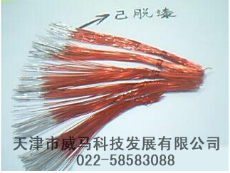【脫漆劑】"不脫漆，何以蛻變？"
